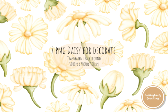 Download Daisy for Decoration - Premium Resources