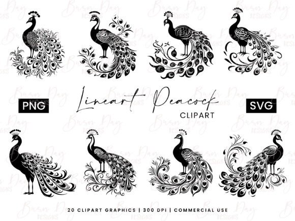 Download Lineart Peacock Clipart Bundle - Linear Collection